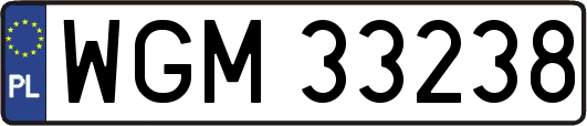 WGM33238