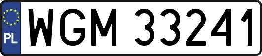 WGM33241