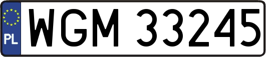 WGM33245