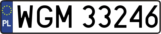 WGM33246
