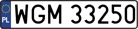 WGM33250