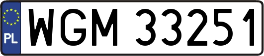 WGM33251