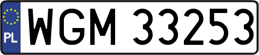 WGM33253