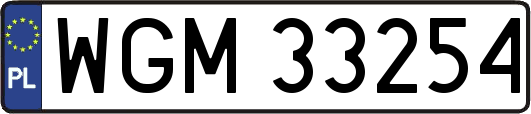WGM33254