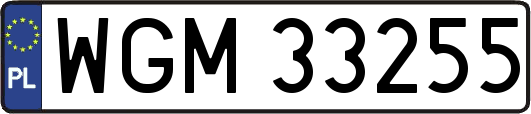 WGM33255