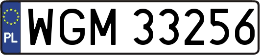 WGM33256