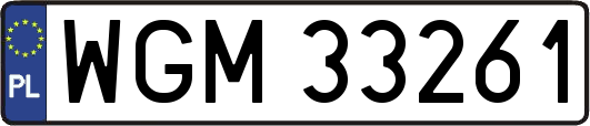 WGM33261