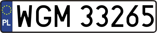 WGM33265