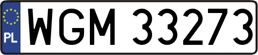 WGM33273