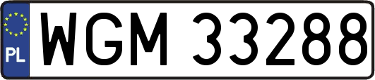 WGM33288