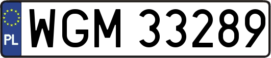 WGM33289