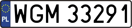 WGM33291