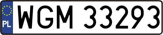 WGM33293