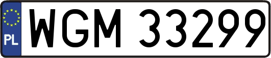 WGM33299