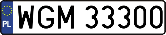 WGM33300
