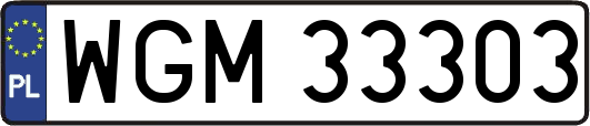 WGM33303