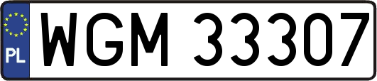 WGM33307