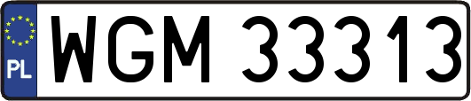 WGM33313