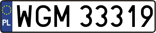 WGM33319