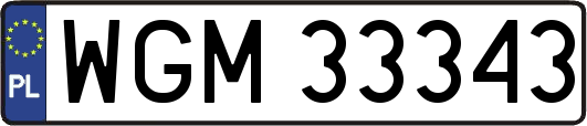 WGM33343