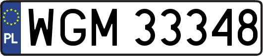 WGM33348