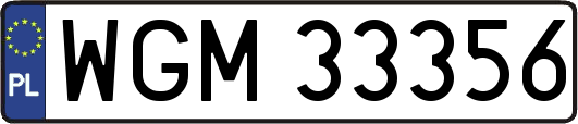 WGM33356