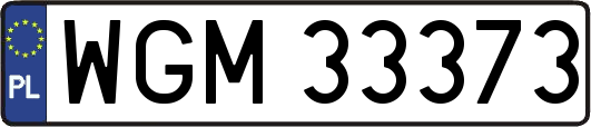 WGM33373