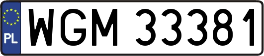 WGM33381