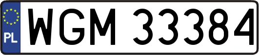 WGM33384