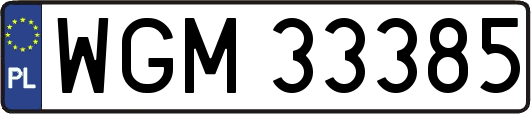 WGM33385