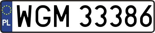 WGM33386