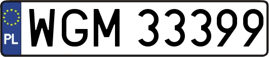WGM33399