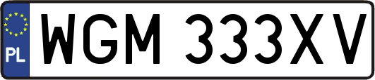 WGM333XV