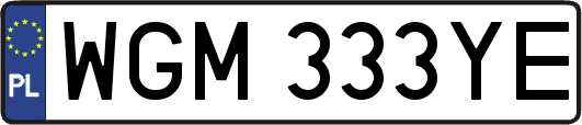 WGM333YE