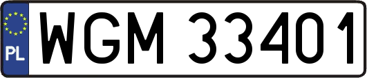 WGM33401