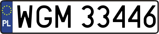 WGM33446