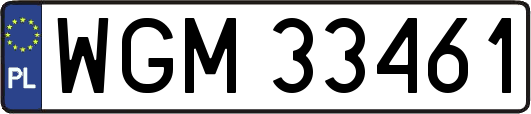 WGM33461