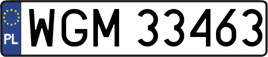 WGM33463