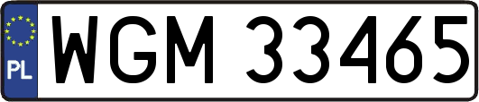 WGM33465
