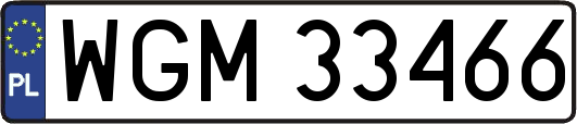 WGM33466