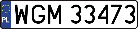WGM33473
