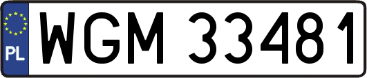 WGM33481