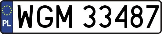WGM33487