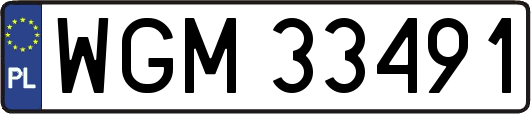 WGM33491
