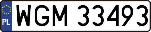 WGM33493