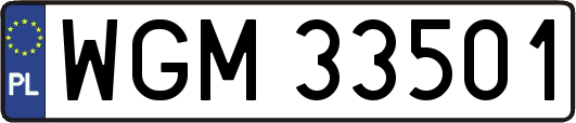 WGM33501