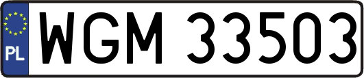 WGM33503