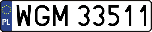 WGM33511