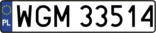 WGM33514