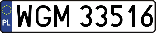 WGM33516